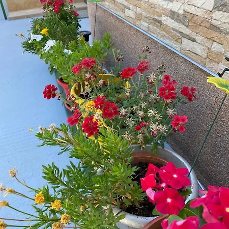 Lejlighed Spacious And Bright Two Bedroom With Outdoor Area